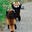 hands up red panda!'s avatar