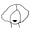 Avatar de Dona Assunta