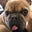 Julie Heimark's avatar