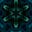 Loraca's avatar