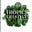 Tropics Lifestyle Magazine's avatar