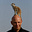 Michael Sklar's avatar
