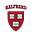 Dora Zap's avatar