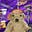 John Washburn's avatar