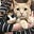 Cats & Politics's avatar