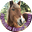 Zoe's avatar