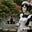 Buzen's avatar