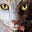 Laurie Flebotte's avatar