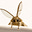 Ray Delamotte's avatar