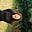 Ashlin O’Sullivan's avatar