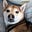 Ultim8_Doge_Dad's avatar