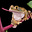 dav's avatar
