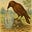 thirstycrow's avatar