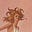 Lessa Comstock's avatar