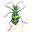 Beth Bugler's avatar