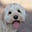 Carol Hatch's avatar