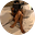 Anna Eliza Rose's avatar