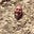 Robert Cashill's avatar