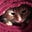 Linda A. Markwell's avatar