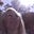 Lesley's avatar