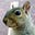 Squirrel's avatar