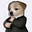 Strelka's avatar