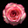 Roses are red's avatar