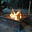 Welcome To The Campfire's avatar