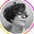 Avatar de Inés Cruz