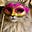 Buttercup Katydid's avatar