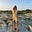 Amy Moser's avatar