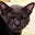 Sadye Scott-Hainchek's avatar