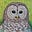 swampy sig's avatar