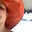 Avatar de Josiane Albatrim