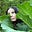 Leah Shiloh Henderson's avatar