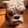 VA Dawg's avatar