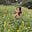 tita sampaguita's avatar