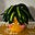 Pat Ebervein's avatar