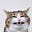 LucidCynic's avatar