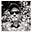 Timothy Hickernell's avatar