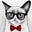 CatBoss's avatar