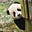 acrtnshadeofme's avatar