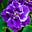 Mdionnesvitak313@comcast.net's avatar
