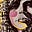 Avatar de Shantall Tuiche