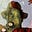Martin Rosenblum's avatar