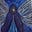 laurasfindingherway's avatar