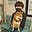 だいち's avatar