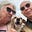 David Swindells's avatar
