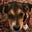 Merlie's avatar