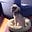 Meg B's avatar